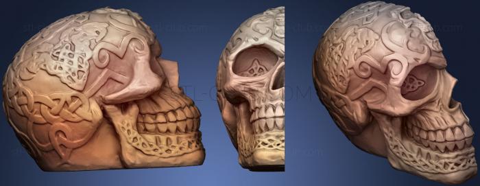 Анатомия скелеты и черепа Сторона магнита с кельтским черепом