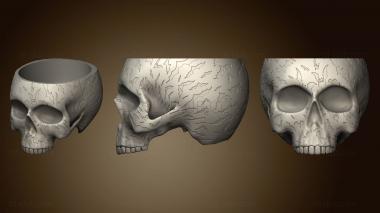 3D модель Ваза с Черепом Летучей мыши (STL)