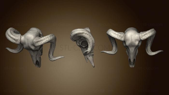 3D модель Подвеска в виде Черепа Барана (STL)