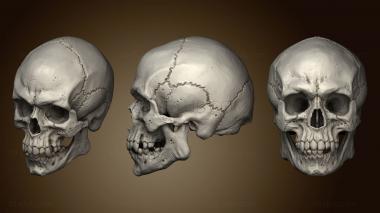 3D модель Армии черепов (STL)