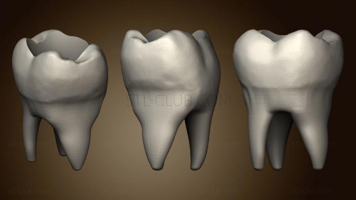 3D модель Ваза для зубов (STL)