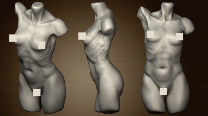 3D модель Женский торс в честь Фила Фараута (STL)