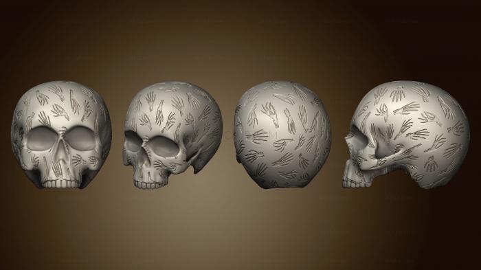 Анатомия скелеты и черепа Скелет Руки Череп Целиком v 2
