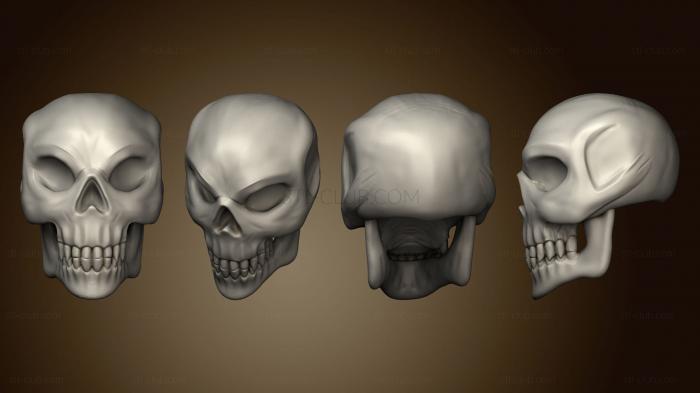 Анатомия скелеты и черепа Челюсть черепа 1
