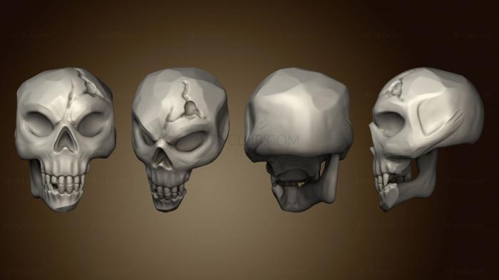 Анатомия скелеты и черепа Челюсть черепа 2