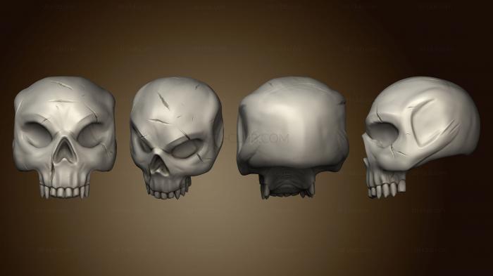 Анатомия скелеты и черепа Черепа Череп 2