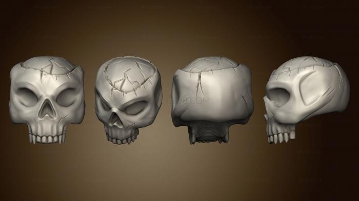 Анатомия скелеты и черепа Черепа Череп 3