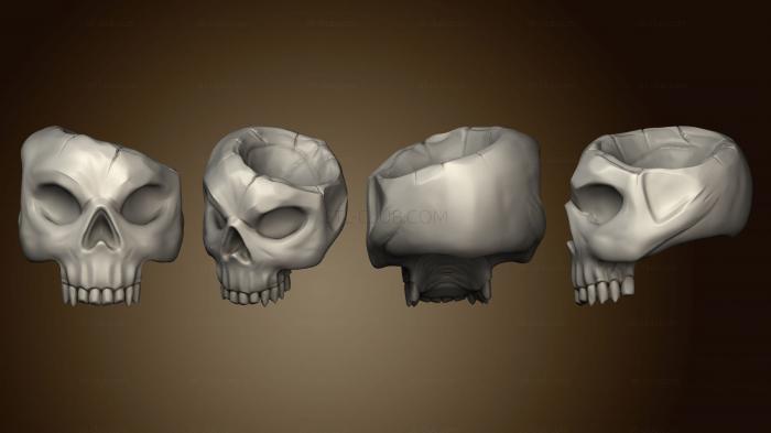 Анатомия скелеты и черепа Черепа Череп 5