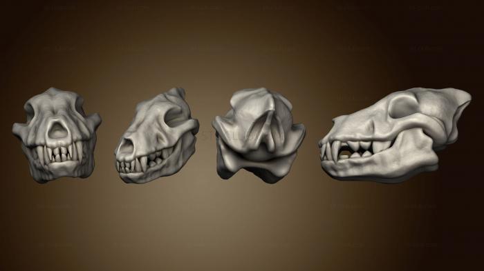 Анатомия скелеты и черепа Stretch Goals Skulls Том 2 череп варга