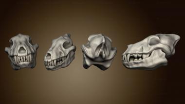 3D модель Stretch Goals Skulls Том 2 череп варга (STL)