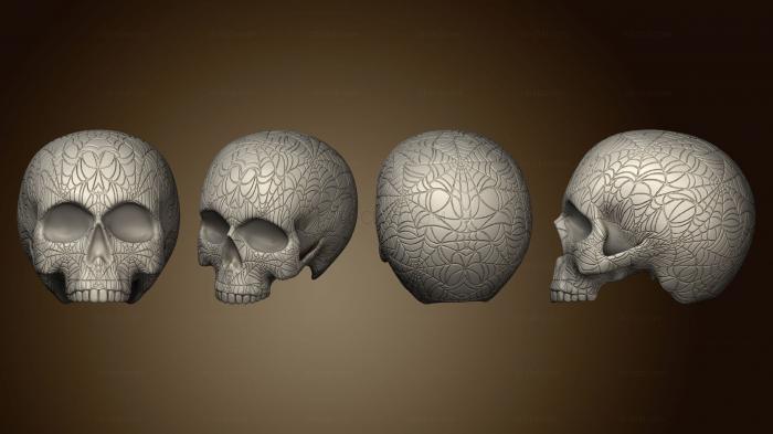 Анатомия скелеты и черепа Чаша Для Плантатора с Черепом из Паутины 01