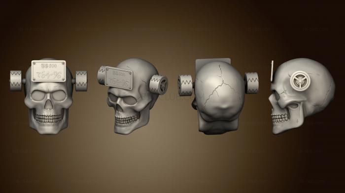 Анатомия скелеты и черепа Череп эбису дорохедоро