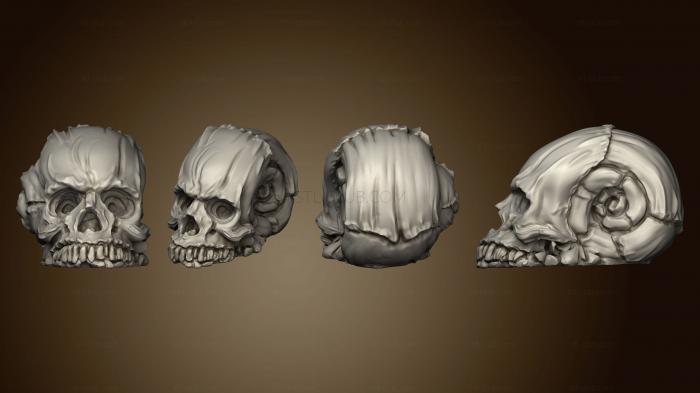 Анатомия скелеты и черепа Отравление Элементальных Существ, Капающая улитка 003