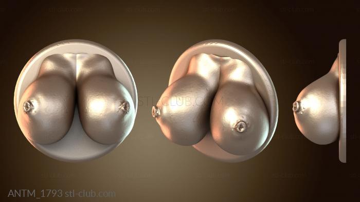 Анатомия скелеты и черепа Скульптура «Магнит-буб»