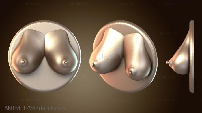 Анатомия скелеты и черепа Версия Boobmagnetv