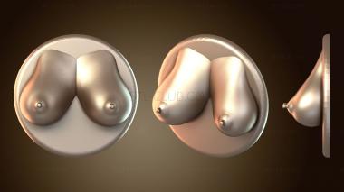 3D модель Версия Boobmagnetv (STL)