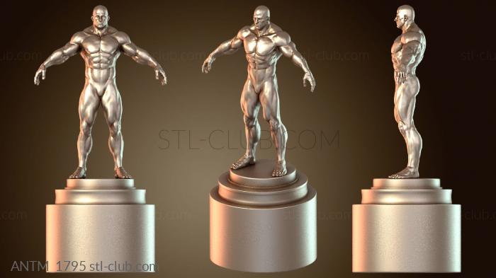 Анатомия скелеты и черепа Модель трофея здания