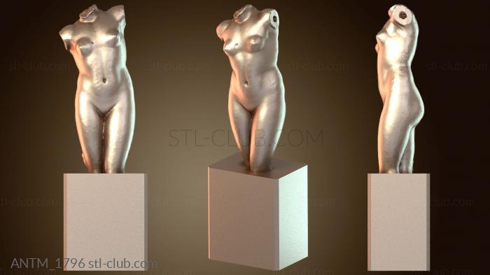 Анатомия скелеты и черепа Бюст Космо Венмана