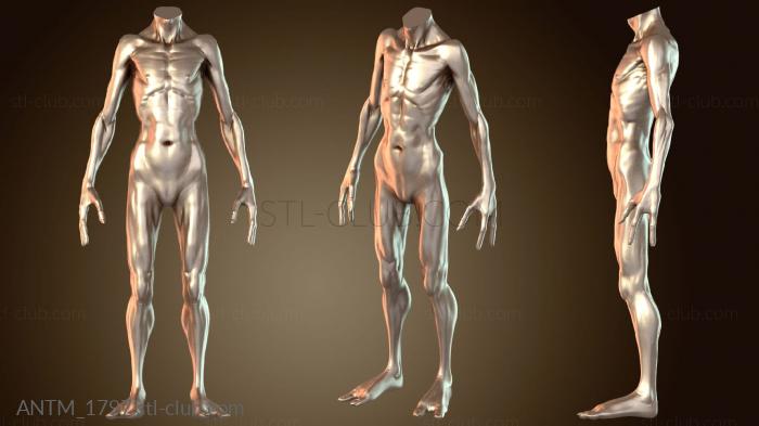 Анатомия скелеты и черепа Существо Абстракция