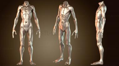 3D модель Существо Абстракция (STL)