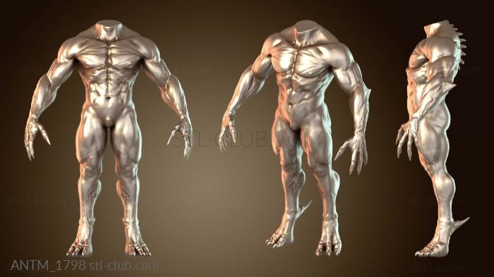 Анатомия скелеты и черепа Форма существа