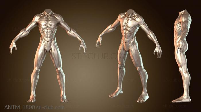 Анатомия скелеты и черепа Существо Бронированное