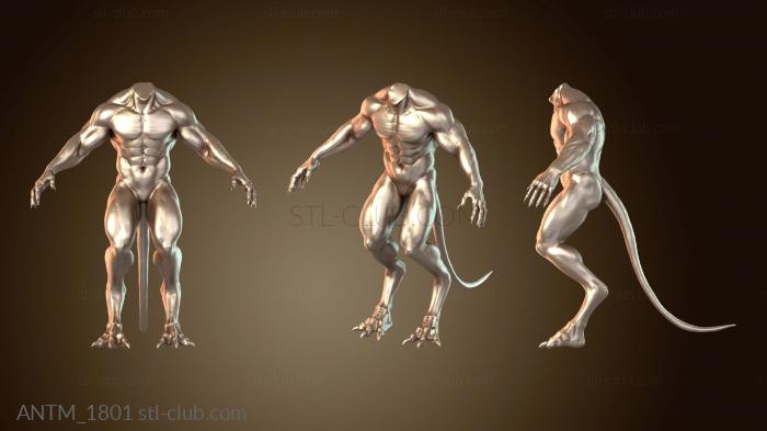 Анатомия скелеты и черепа Существо с когтями