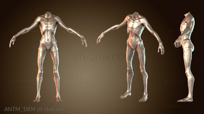 Анатомия скелеты и черепа Существо с клыками