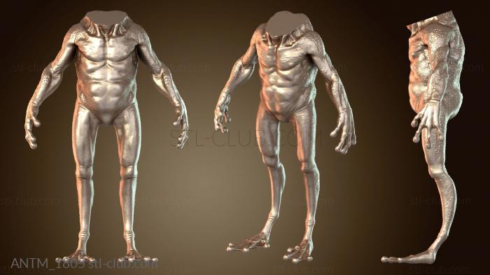 Анатомия скелеты и черепа Существо Рогатое