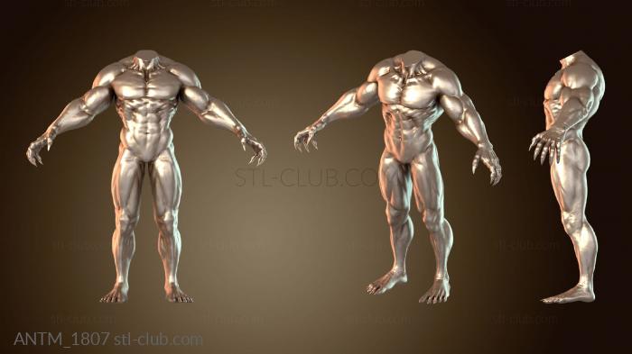 Анатомия скелеты и черепа Существо Кошмарное