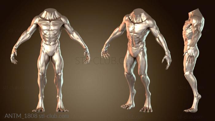 Анатомия скелеты и черепа Существо на свободе