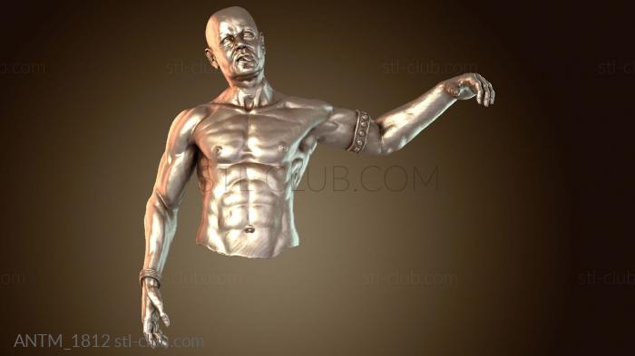 Анатомия скелеты и черепа Украшение торса для летучей мыши Легион Торс