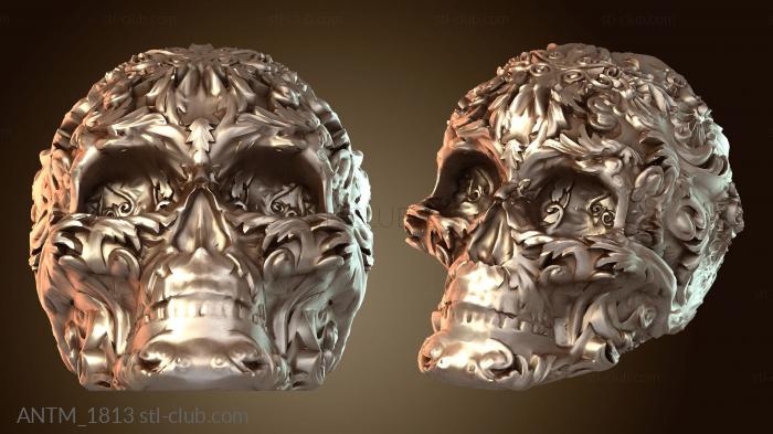 Анатомия скелеты и черепа Необычный рыцарь-череп