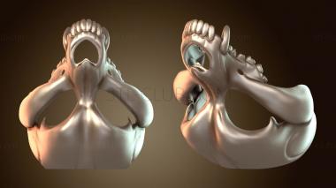 3D модель Фурсьют Собачий Череп Публичный (STL)