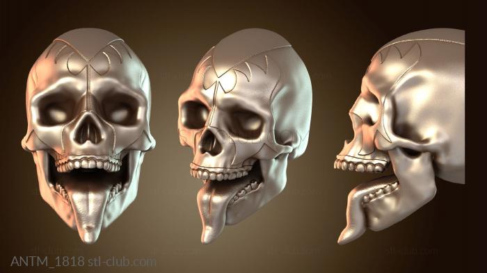 Анатомия скелеты и черепа Ген висячих черепов KISS