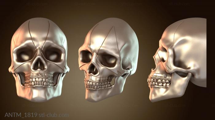 Анатомия скелеты и черепа KISS Висячие черепа Питер