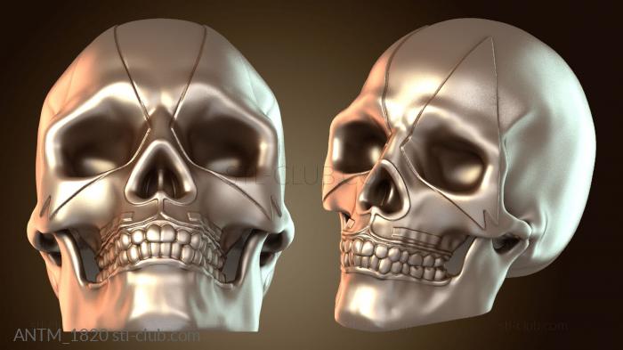 Анатомия скелеты и черепа KISS Skulls Питер