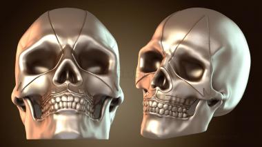 3D модель KISS Skulls Питер (STL)