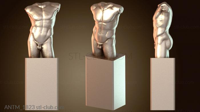 Анатомия скелеты и черепа Мужской кросс Космо Венман