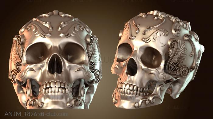 Анатомия скелеты и черепа Орнамент череп