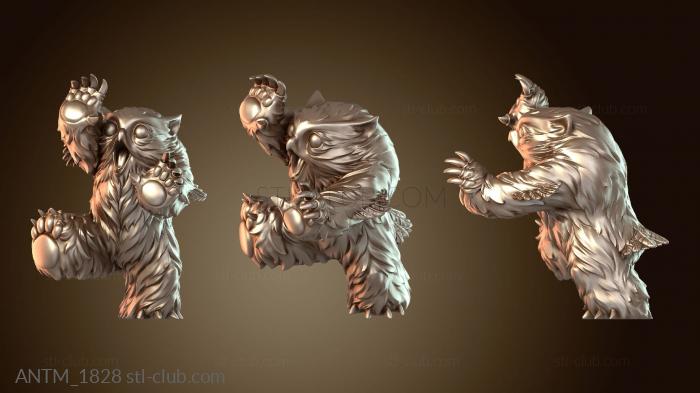 Анатомия скелеты и черепа Пошатывание детеныша совомедведя