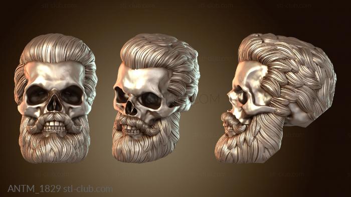 Анатомия скелеты и черепа Тыквенный череп