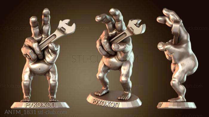 Анатомия скелеты и черепа Рука