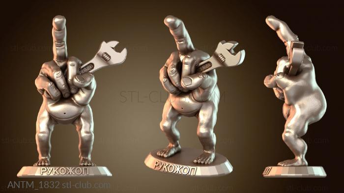 Анатомия скелеты и черепа Рука грациозная