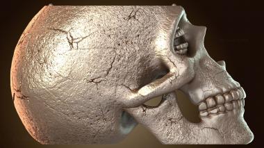 3D модель Коринфская чаша-череп «Песочный человек» (STL)