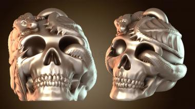 3D модель Череп дракона с детенышем (STL)