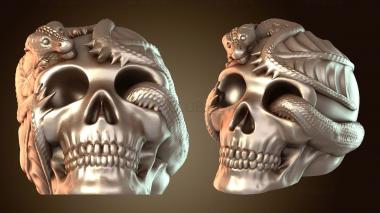 3D модель Череп дракона с детенышем свирепого (STL)