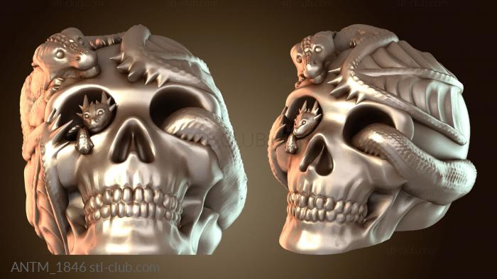 Анатомия скелеты и черепа Череп дракона с детенышем мистический