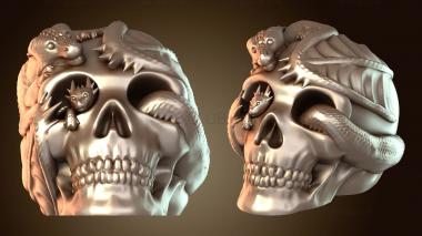 3D модель Череп дракона с детенышем мистический (STL)