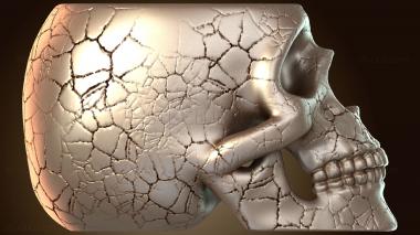 3D модель Чаша для цветов в форме черепа, состаренная (STL)